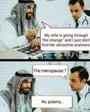 1756262150813.png