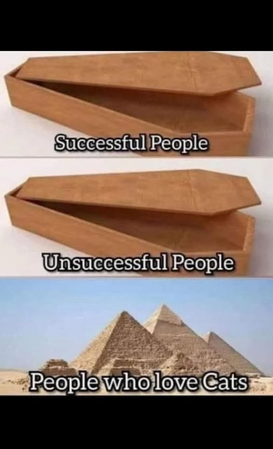 1756275202869.png