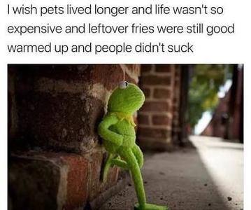 1757176347469.png