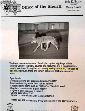 1757201937733.png