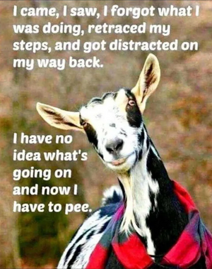 1757264184832.png