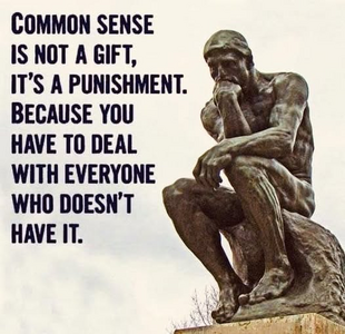 1757616187532.png