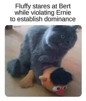 1757765336715.png