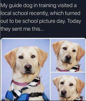 1758068381517.png