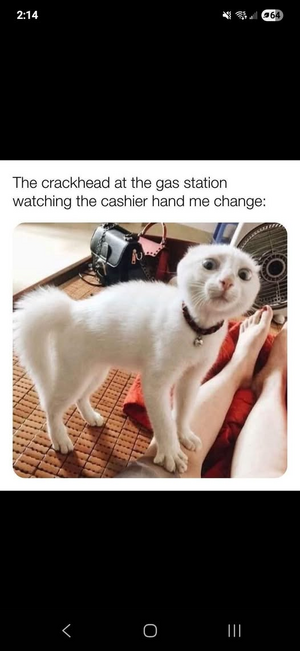 1758584398718.png