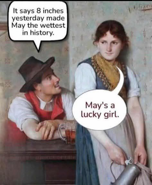1759026558425.png