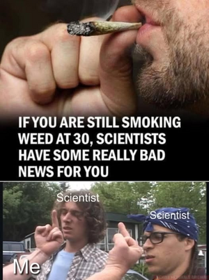 1759289038562.png