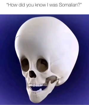 1759778403829.png