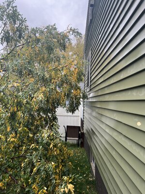 IMG_5982.jpeg