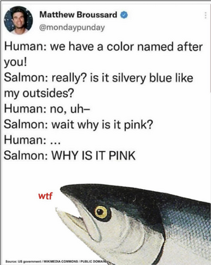 1760327933400.png