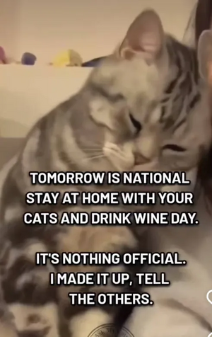 1760388351419.png