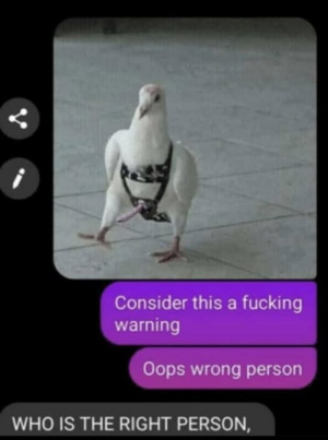 1760949081945.png