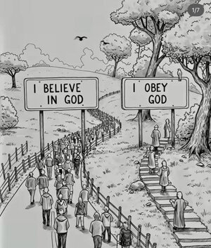 1765065083013.jpeg 1765065083013.jpeg