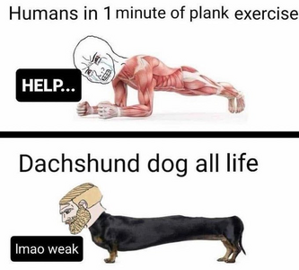 1777122741344.png