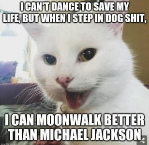 1718625303993.png