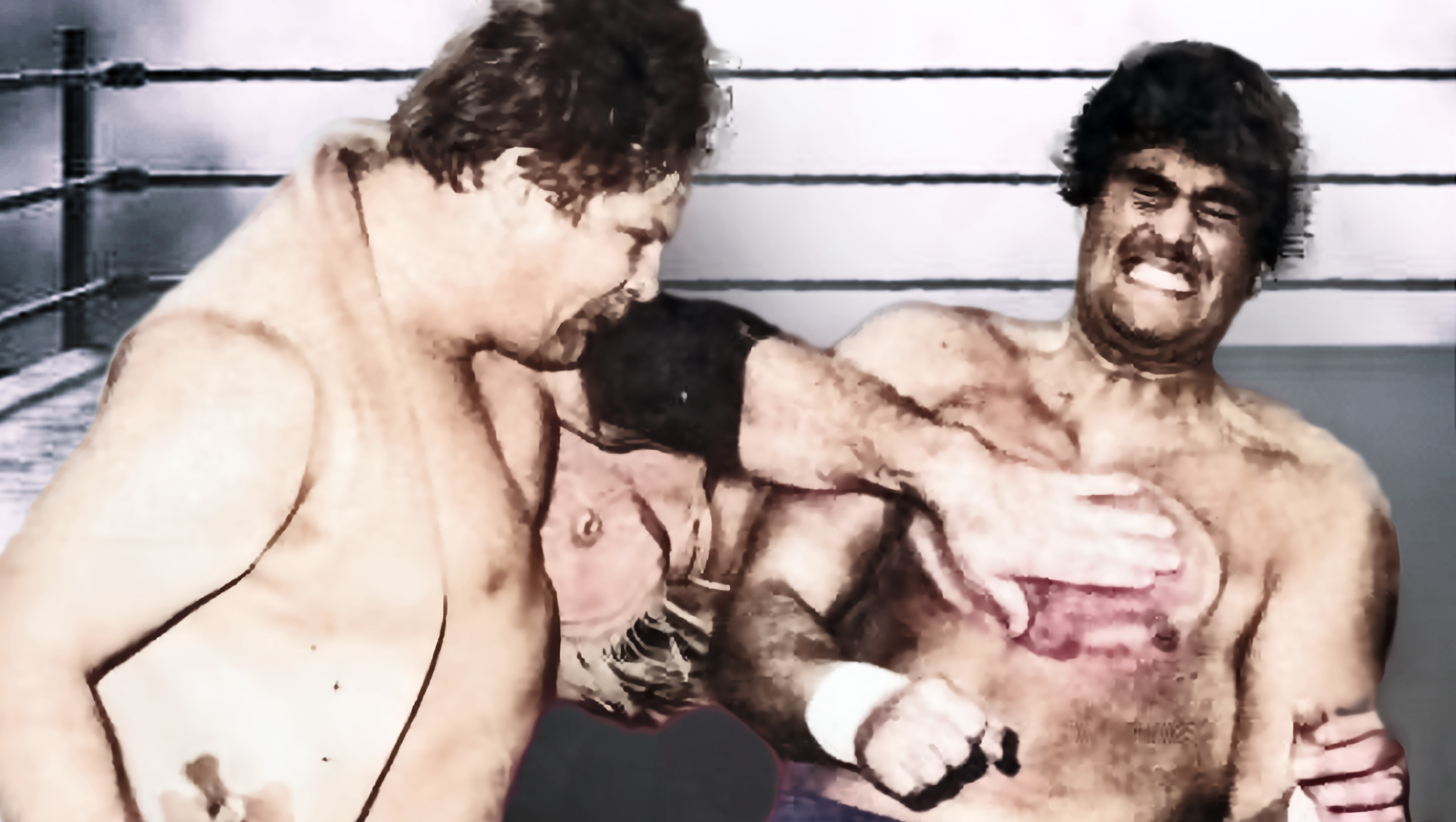 prowrestlingstories.com