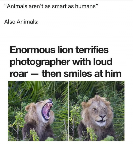 06b4ce0a97efaa3184748080797bf300.png
