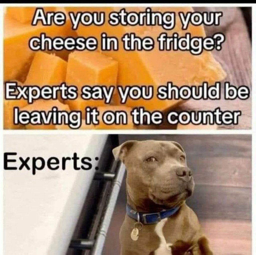a3f1c6b8f0804242d7cdad24653f497a.jpg