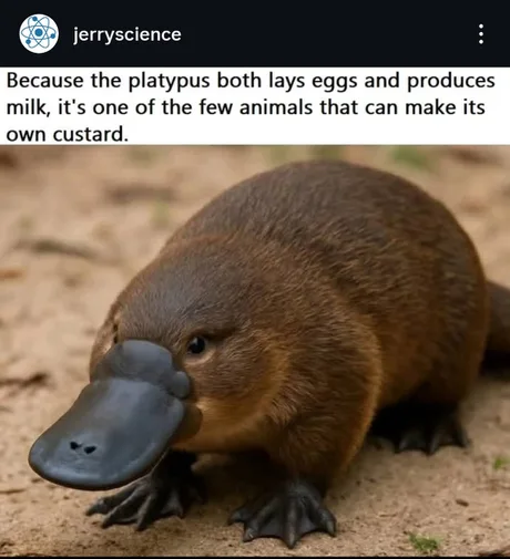 56468a84bef011cda5335c8b6f068591.png