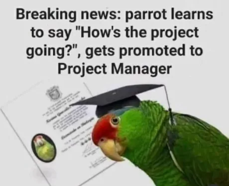7752c86e6b4ea014cb121892e9e76577.png