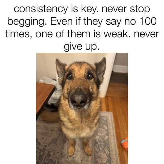 13d25a6f0fa7f5156f69b52351fc4c30.png