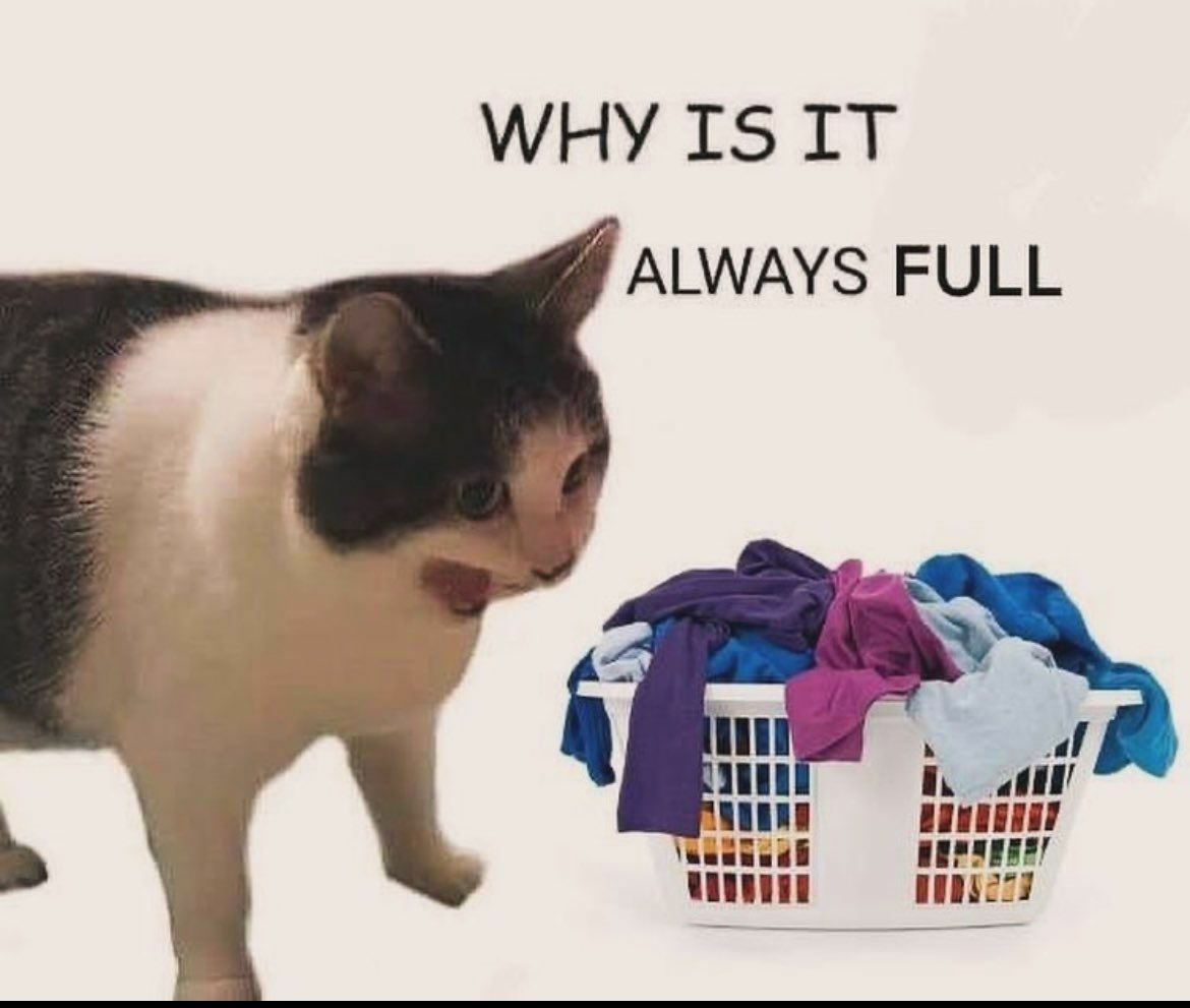3e48bbea00d241054f1cd4ff50febc0e.jpeg