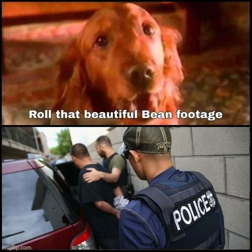 8024c9bdad3ecee4c25f3f7058d9fe26.jpeg