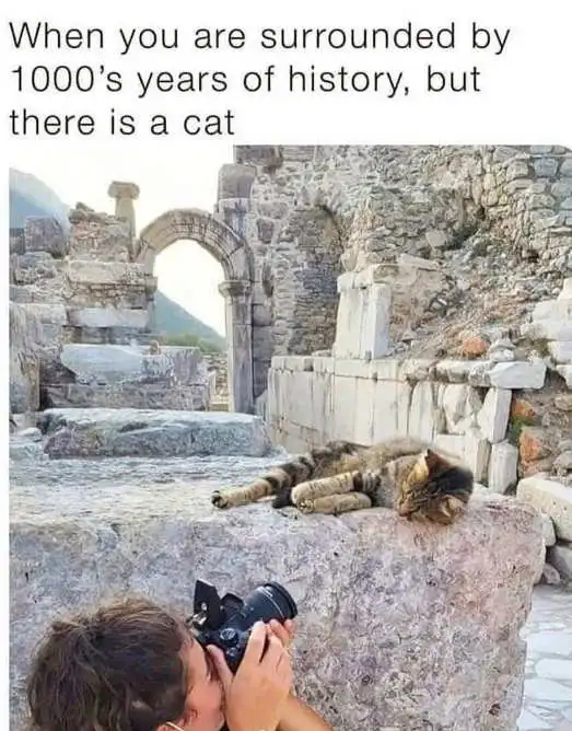 3eee39f02a6a1d10275850c60f06d12b.png