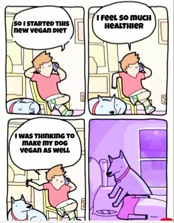 ec09d2bba80b16d4.jpeg