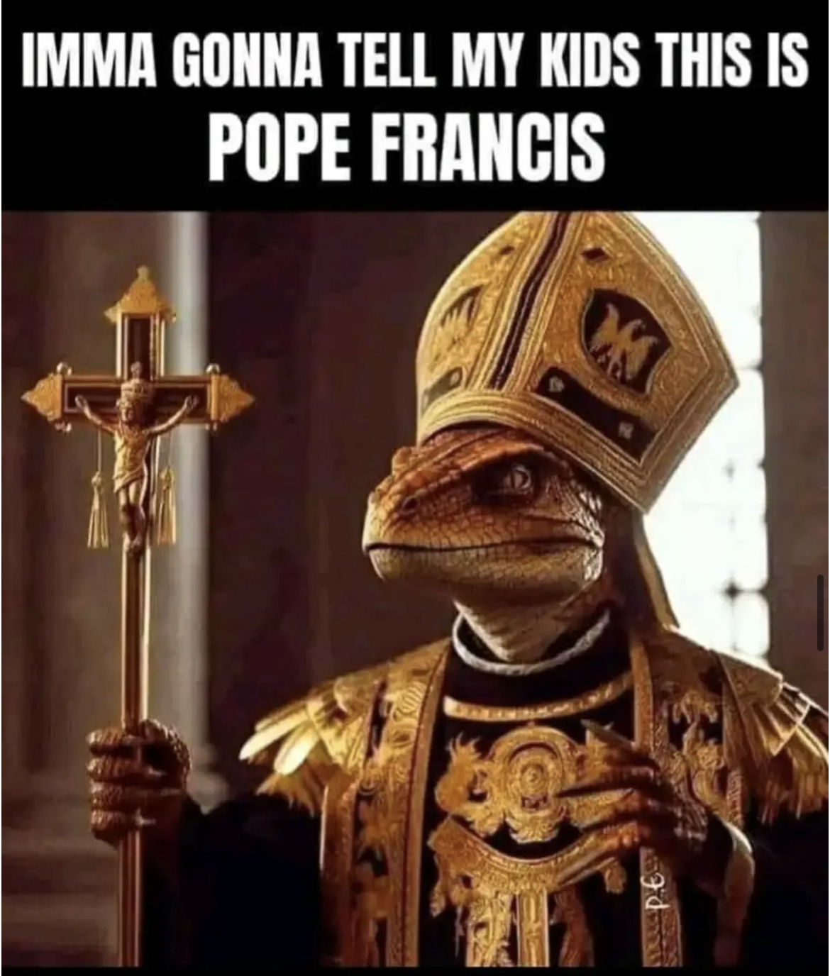 7f8fc2b50f707a91.jpeg