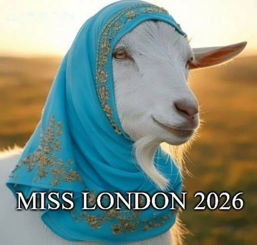 07d8d4e462bce2779f57bbf002f99cbd.jpeg