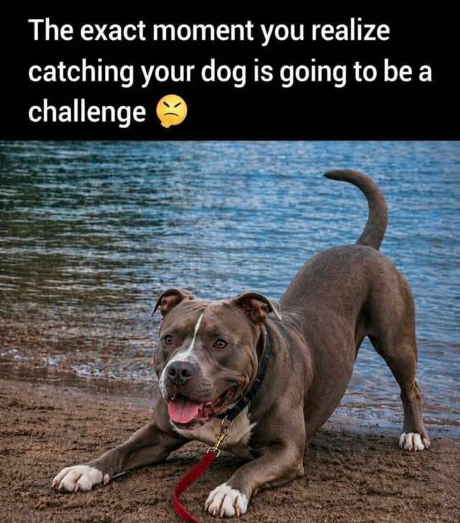697c755f5991d7e6266a4e22cd130809.jpg