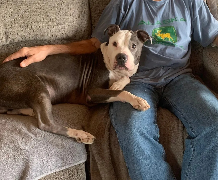 Fred enjoy cuddles now that he has recovered. (Human Society of Scott County) Fred enjoy cuddles now that he has recovered. (Human Society of Scott County)
